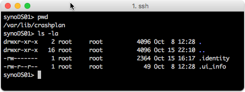 install crashplan on synology